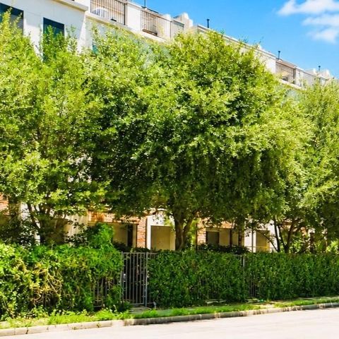 1206 W Dallas Street, Houston, TX 77019