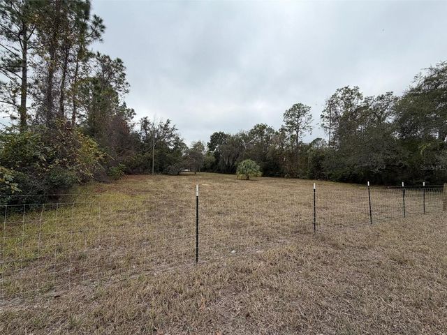 17718 COON HIDE ROAD, Spring Hill, FL 34610