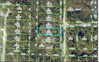 CHIMNEY ROCK DRIVE, Webster, FL 33597