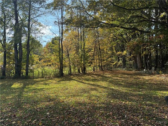 9985 Briggs Road, Remsen, NY 13438