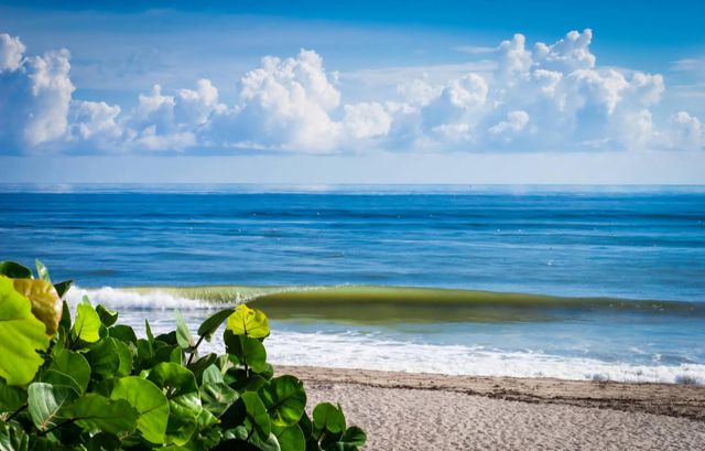 401 Ocean Bluffs Boulevard 104, Jupiter, FL 33477