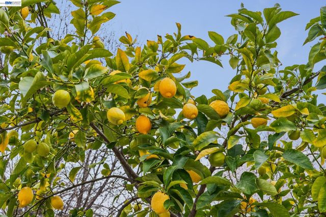 1901 Jacqueline Way, Concord, CA 94519