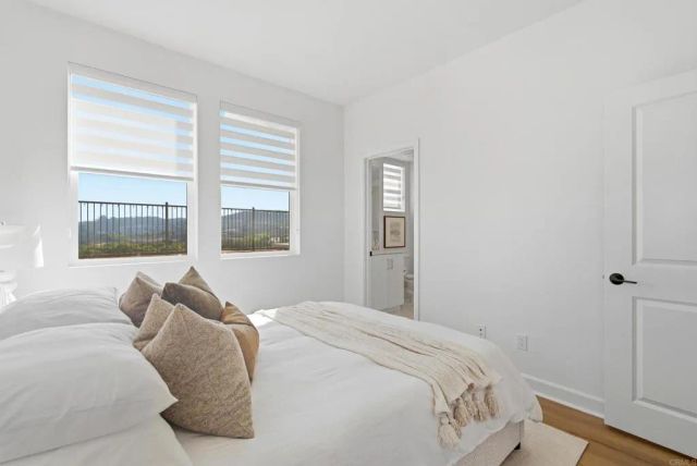 519 Proton Place, San Marcos, CA 92078
