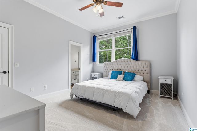 3920 BUTLER SPRINGS WAY, Hoover, AL 35226