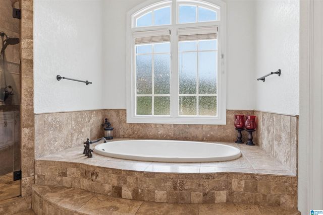 3920 BUTLER SPRINGS WAY, Hoover, AL 35226