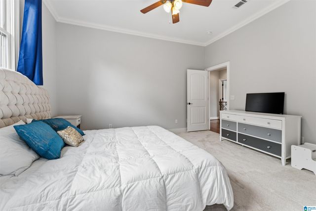 3920 BUTLER SPRINGS WAY, Hoover, AL 35226