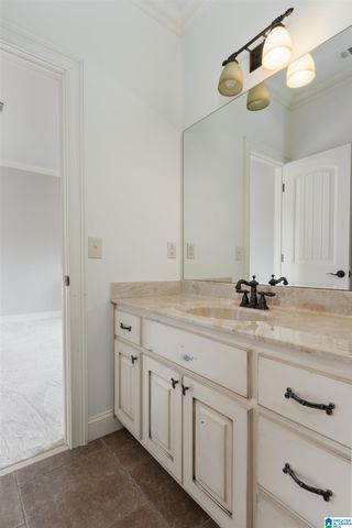 3920 BUTLER SPRINGS WAY, Hoover, AL 35226