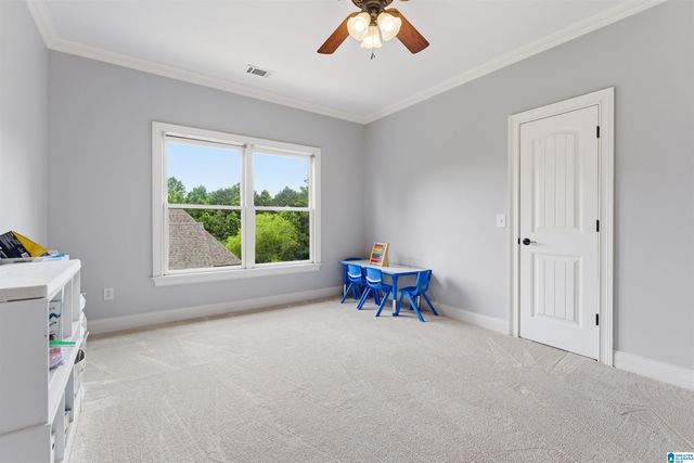3920 BUTLER SPRINGS WAY, Hoover, AL 35226