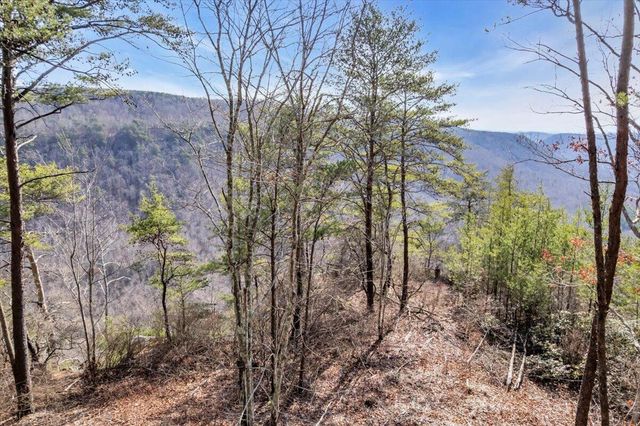 3970 Split Rail Way Lot 1375, Guild, TN 37340