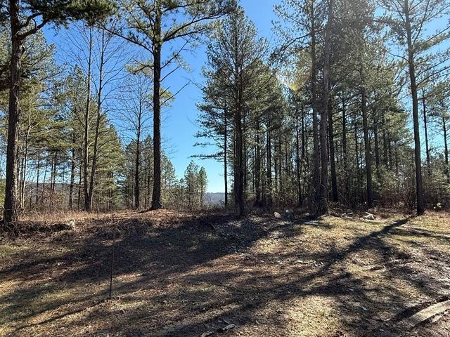 3970 Split Rail Way Lot 1375, Guild, TN 37340