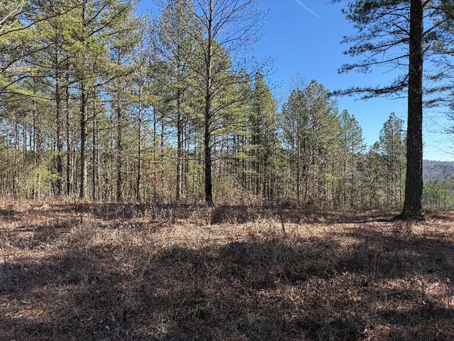 3970 Split Rail Way Lot 1375, Guild, TN 37340