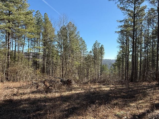 3970 Split Rail Way Lot 1375, Guild, TN 37340