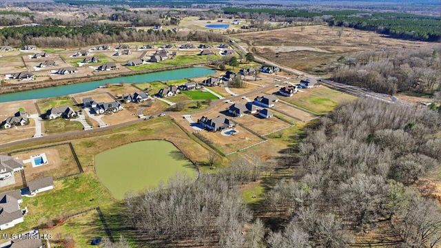 127 Crossview Place, Brandon, MS 39047