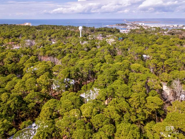 908 LAFITTE Place, Dauphin Island, AL 36528