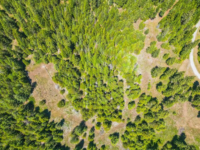 351 Stohr Rd, Newport, WA 99156