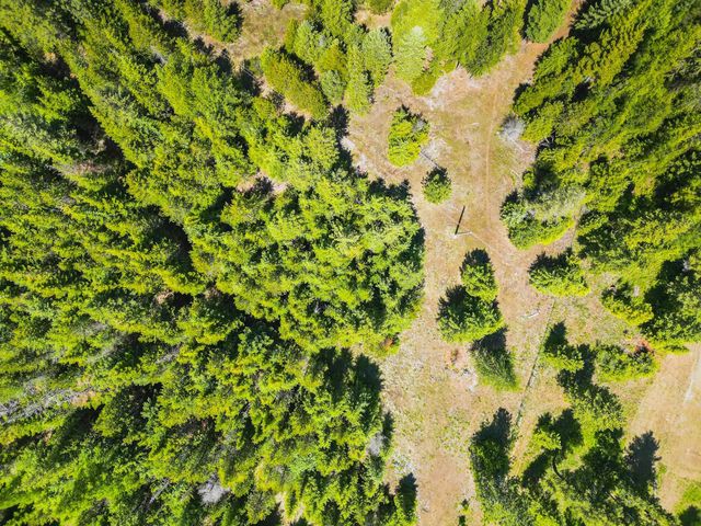 351 Stohr Rd, Newport, WA 99156