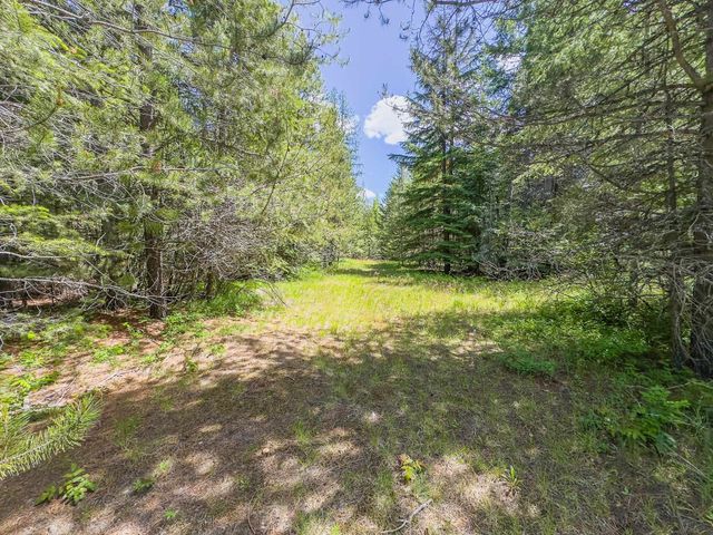 351 Stohr Rd, Newport, WA 99156