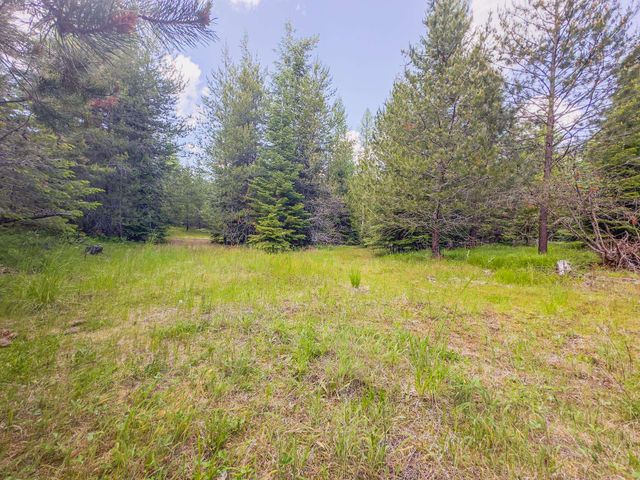 351 Stohr Rd, Newport, WA 99156