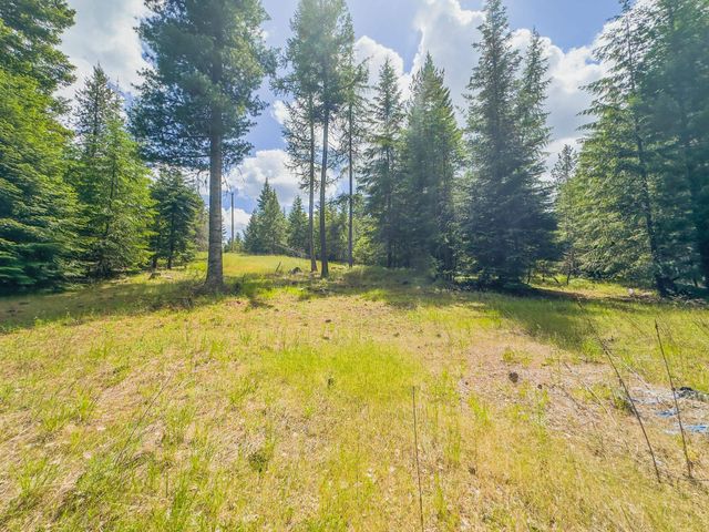 351 Stohr Rd, Newport, WA 99156