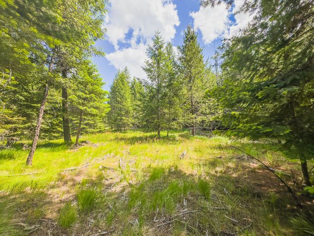 351 Stohr Rd, Newport, WA 99156