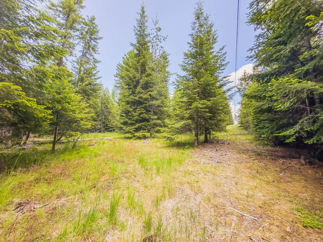 351 Stohr Rd, Newport, WA 99156