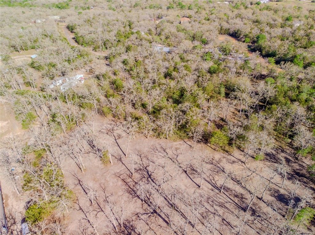 Lot 212 Forest Oak Road, Somerville, TX 77879 — photo 4
