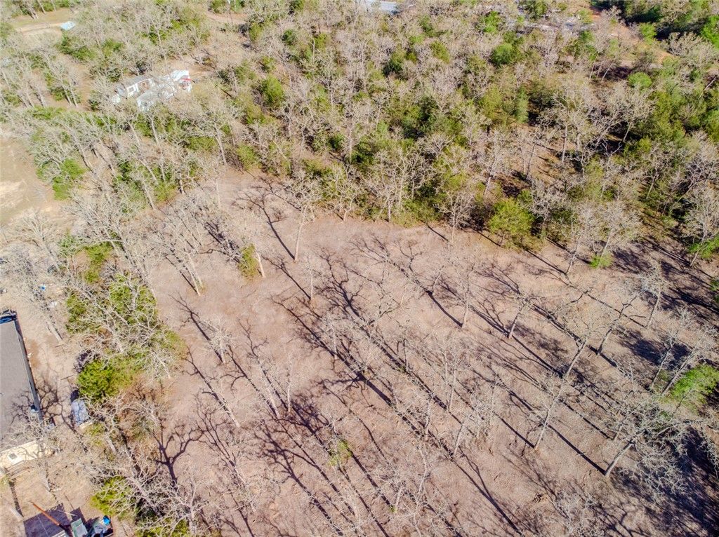 Lot 212 Forest Oak Road, Somerville, TX 77879 — photo 5