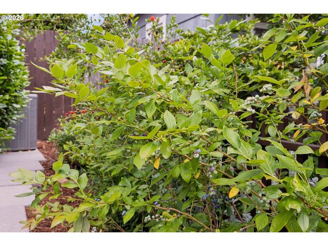 5417 Se BOISE St, Portland, OR 97206