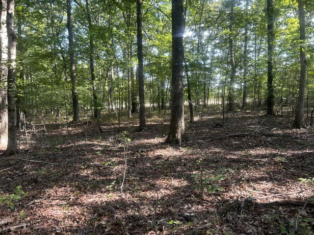 0 Cedar Grove Rd, Big Sandy, TN 38221