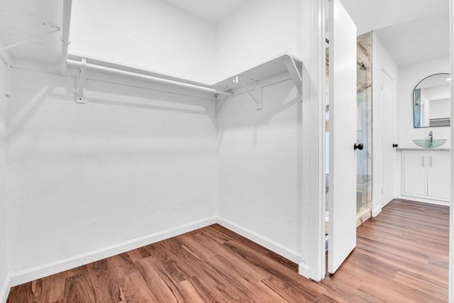 4204 San Saba Court, Plano, TX 75074