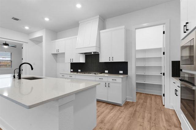 17305 Lisa Samuels DR, Pflugerville, TX 78660