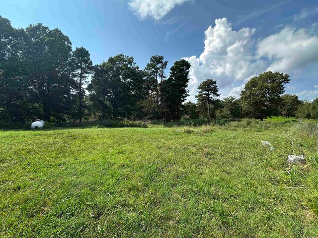 231 Jones Road, Yellville, AR 72687