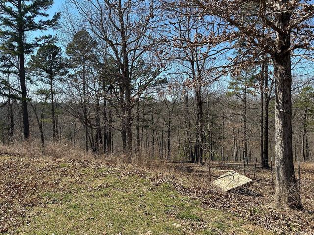 231 Jones Road, Yellville, AR 72687