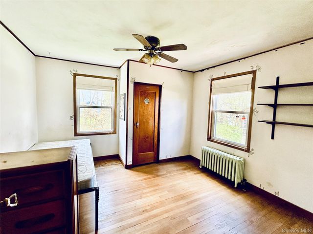 20 Spring Street, Livingston Manor, NY 12758