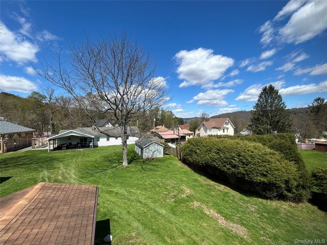 20 Spring Street, Livingston Manor, NY 12758