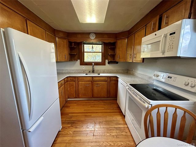 20 Spring Street, Livingston Manor, NY 12758