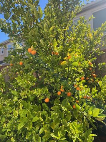 2348 Seacrest Court, San Leandro, CA 94579