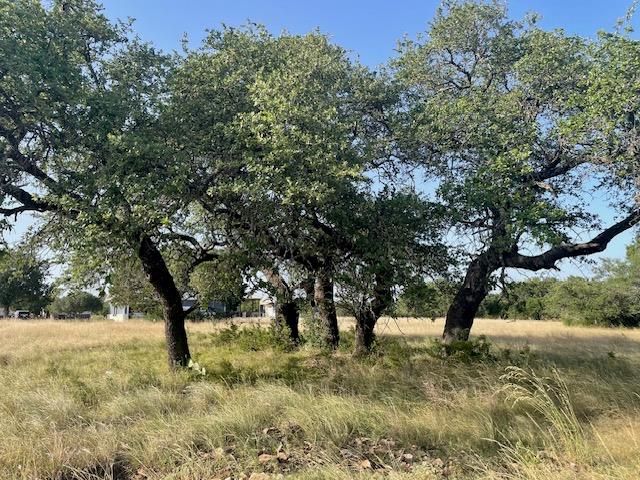 Lot 4 Oak Vista Drive, Burnet, TX 78611