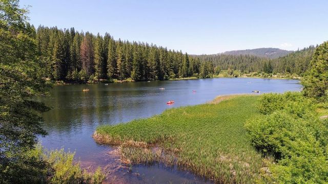 1290 Aspen St, Arnold, CA 95223