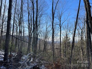 TBD (Lot 8) Woodland Ridge, Lansing, NC 28643