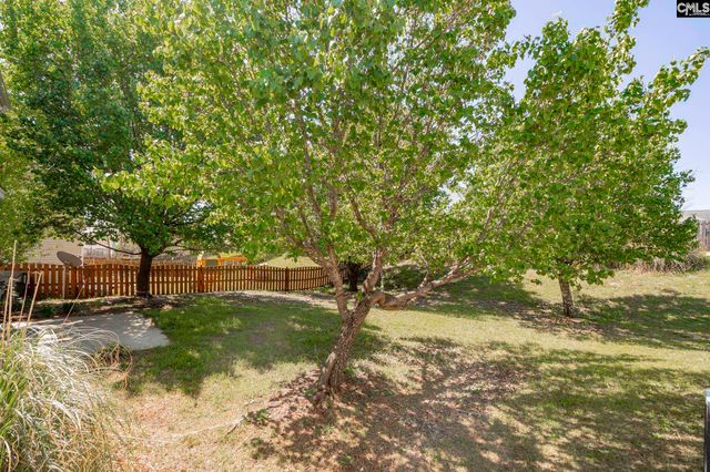 133 Dawson Hill Lane, Lexington, SC 29072