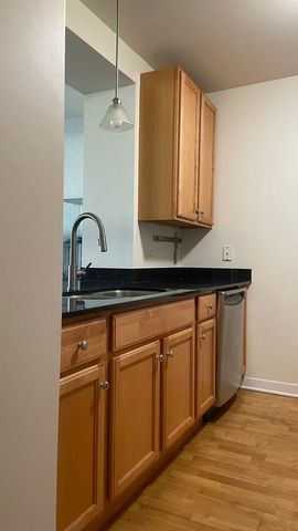 1160 S Michigan Avenue 1404, Chicago, IL 60605