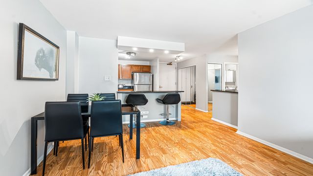 400 E Randolph Street 1104, Chicago, IL 60601