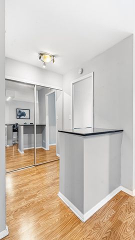 400 E Randolph Street 1104, Chicago, IL 60601