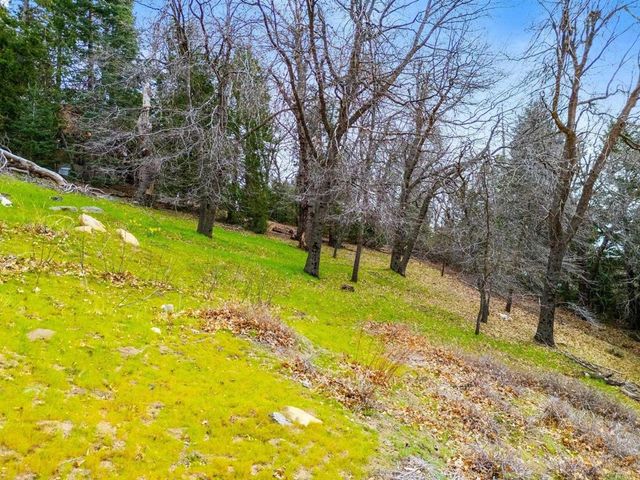 22209 Crestline Road, Palomar Mountain, CA 92060