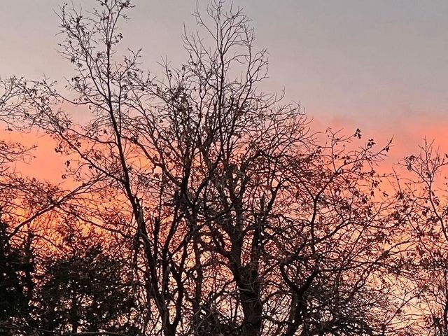 22209 Crestline Road, Palomar Mountain, CA 92060