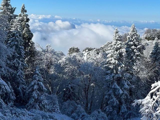 22209 Crestline Road, Palomar Mountain, CA 92060