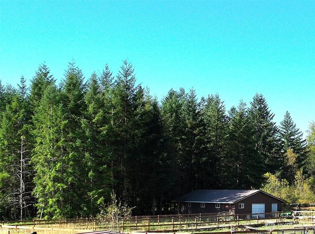 205 Stub Road, Onalaska, WA 98570