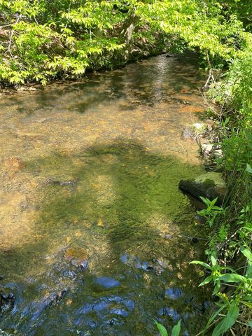 00 Deer Run, Robbinsville, NC 28771