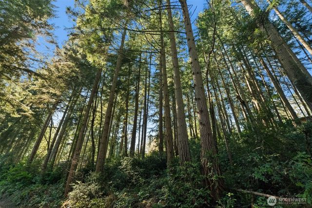 0 Lucille Parkway NW, Gig Harbor, WA 98335